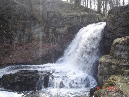 På Österlen finns allt som är vackert